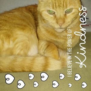 Meet your Posher, Therese